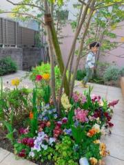 �摜(180x240)�E�g��摜(480x640)