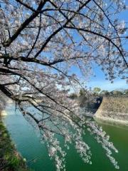 �摜(180x240)�E�g��摜(480x640)