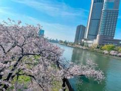 �摜(240x180)�E�g��摜(640x480)