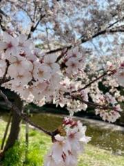 �摜(180x240)�E�g��摜(480x640)