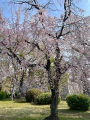 �摜(180x240)�E�g��摜(480x640)