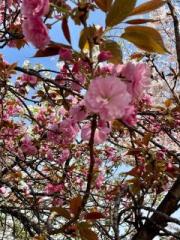 �摜(180x240)�E�g��摜(480x640)