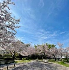 �摜(234x240)�E�g��摜(625x640)