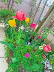 �摜(180x240)�E�g��摜(480x640)