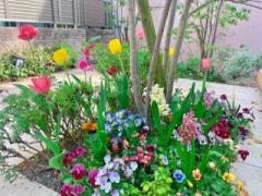 �摜(240x180)�E�g��摜(640x480)