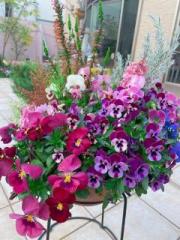 �摜(180x240)�E�g��摜(480x640)