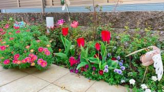 �摜(320x180)�E�g��摜(640x360)