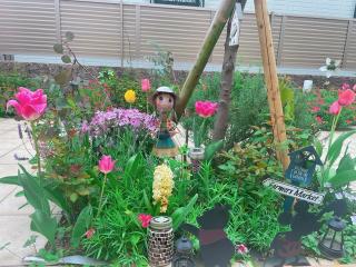 �摜(320x240)�E�g��摜(640x480)