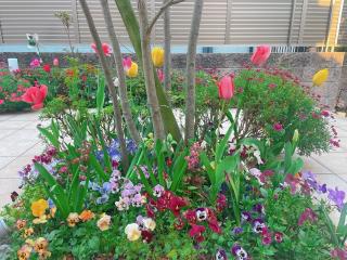 �摜(320x240)�E�g��摜(640x480)