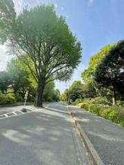 �摜(180x240)�E�g��摜(480x640)