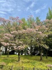 �摜(180x240)�E�g��摜(480x640)