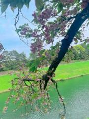 �摜(180x240)�E�g��摜(480x640)