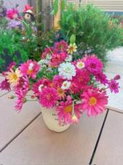 �摜(180x240)�E�g��摜(480x640)