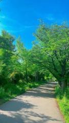 画像(135x240)・拡大画像(360x640)