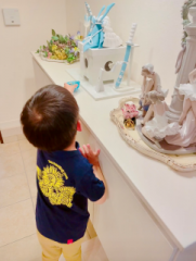 画像(181x240)・拡大画像(484x640)