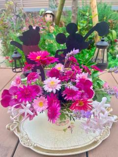 �摜(240x320)�E�g��摜(480x640)