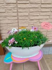 画像(180x240)・拡大画像(480x640)