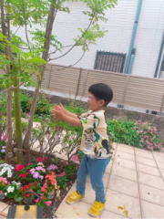 画像(180x240)・拡大画像(480x640)