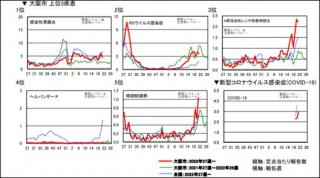 �摜(320x178)�E�g��摜(529x295)