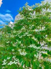 �摜(180x240)�E�g��摜(480x640)