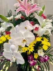 �摜(180x240)�E�g��摜(480x640)