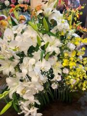 �摜(180x240)�E�g��摜(480x640)