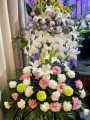 �摜(180x240)�E�g��摜(480x640)