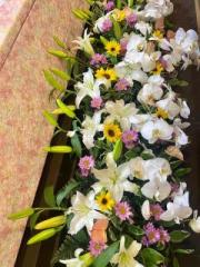 �摜(180x240)�E�g��摜(480x640)