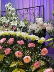 �摜(180x240)�E�g��摜(480x640)