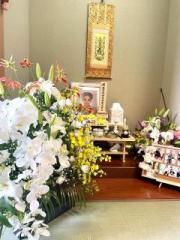 �摜(180x240)�E�g��摜(480x640)