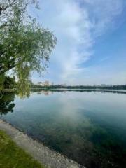 �摜(180x240)�E�g��摜(480x640)