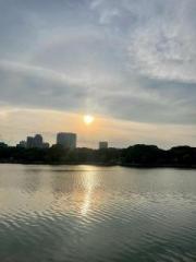 �摜(180x240)�E�g��摜(480x640)