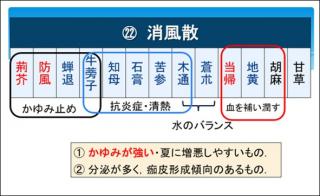 �摜(320x196)�E�g��摜(591x362)