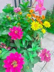 画像(180x240)・拡大画像(480x640)