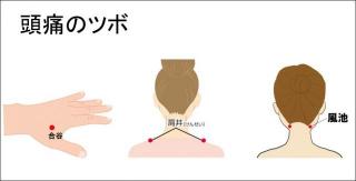 �摜(320x163)�E�g��摜(640x326)