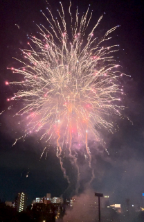 画像(208x320)・拡大画像(416x640)