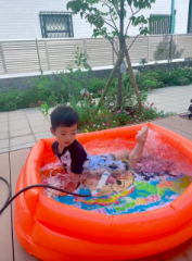 画像(177x240)・拡大画像(474x640)