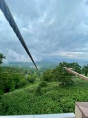 �摜(180x240)�E�g��摜(480x640)