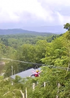 �摜(228x320)�E�g��摜(350x491)