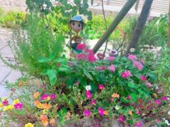 �摜(240x180)�E�g��摜(640x480)