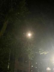 画像(180x240)・拡大画像(480x640)