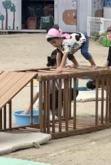 �摜(162x240)�E�g��摜(434x640)