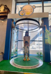 画像(166x240)・拡大画像(445x640)