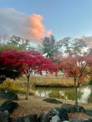 画像(180x240)・拡大画像(480x640)