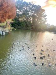 画像(180x240)・拡大画像(480x640)