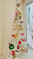 �摜(135x240)�E�g��摜(360x640)