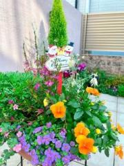 �摜(180x240)�E�g��摜(480x640)