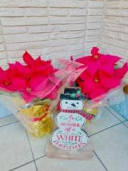 �摜(180x240)�E�g��摜(480x640)