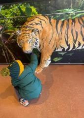 �摜(171x240)�E�g��摜(456x640)