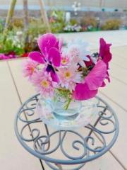 画像(180x240)・拡大画像(480x640)